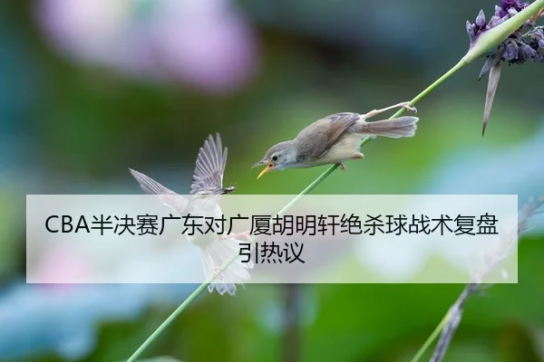 CBA半决赛广东对广厦胡明轩绝杀球战术复盘引热议