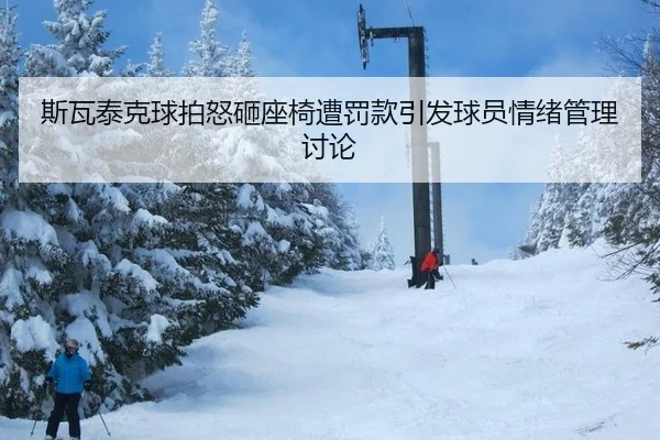 si-wa-tai-ke-qiu-pai-nu-za-zuo-yi-zao-fa-kuan-yin-fa-qiu-yuan-qing-xu-guan-li-tao-lun-3-505.jpg