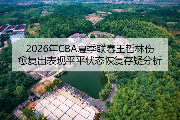 nian-xia-ji-lian-sai-wang-zhe-lin-shang-yu-fu-chu-biao-xian-ping-ping-zhuang-tai-hui-fu-cun-yi-fen-xi-2-454.jpg